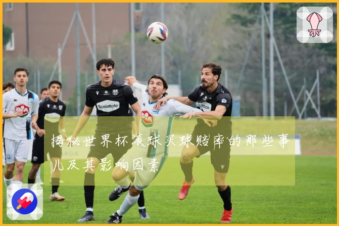 揭秘世界杯滚球买球赔率的那些事儿及其影响因素
