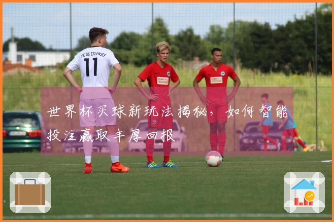 世界杯买球新玩法揭秘，如何智能投注赢取丰厚回报