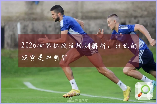 2026世界杯投注规则解析，让你的投资更加明智