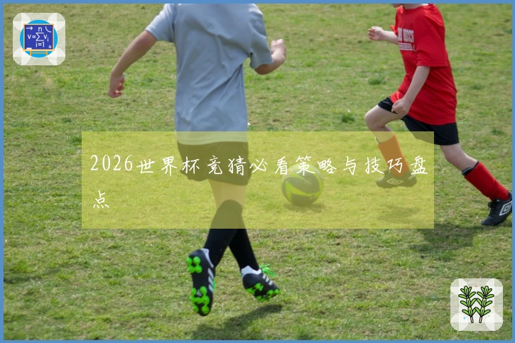 2026世界杯竞猜必看策略与技巧盘点