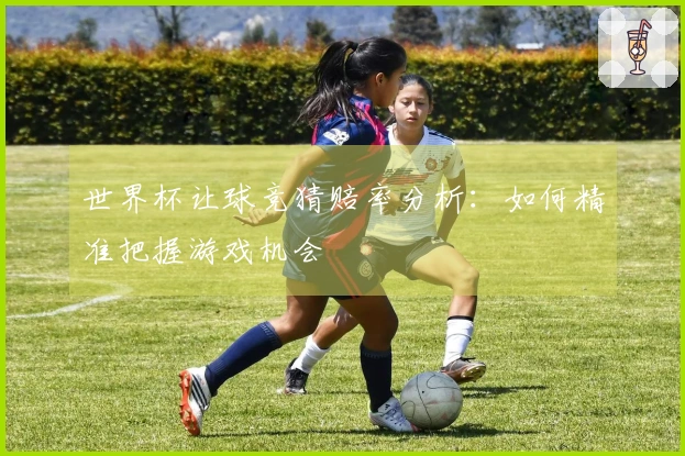 世界杯让球竞猜赔率分析：如何精准把握游戏机会