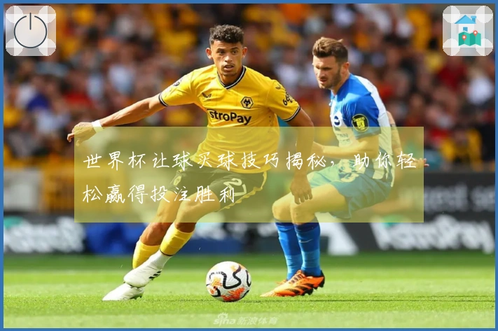 世界杯让球买球技巧揭秘，助你轻松赢得投注胜利