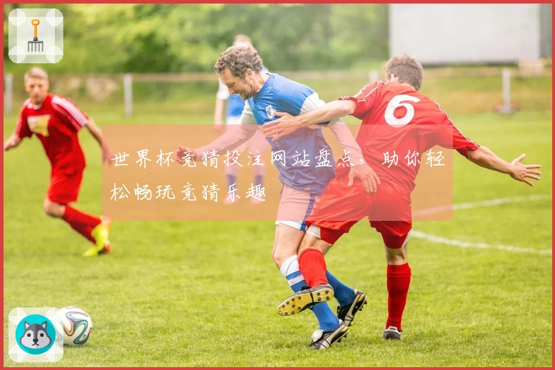 世界杯竞猜投注网站盘点，助你轻松畅玩竞猜乐趣
