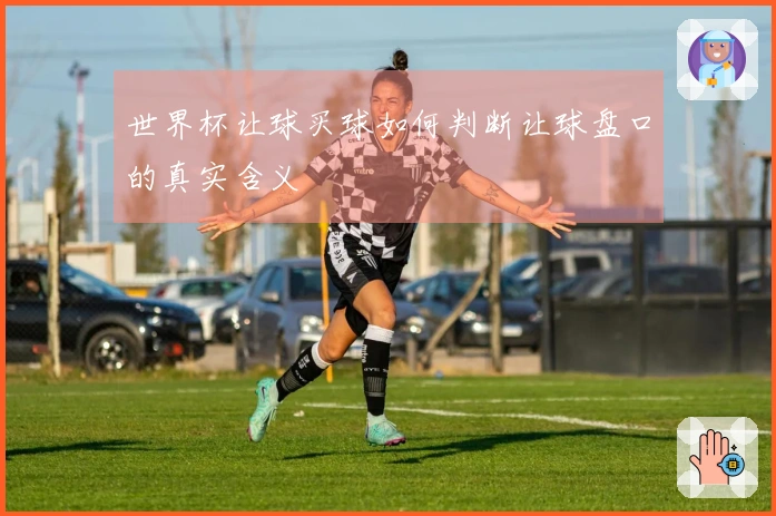 世界杯让球买球如何判断让球盘口的真实含义