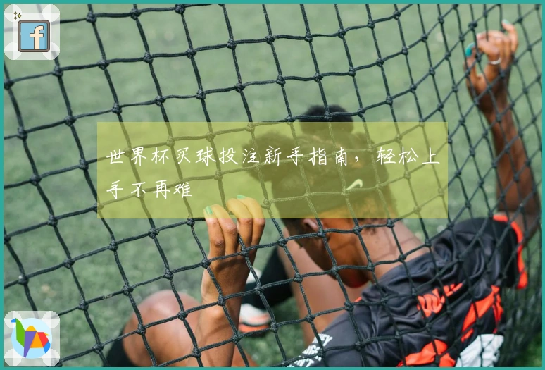 世界杯买球投注新手指南，轻松上手不再难